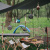 Шнур хозяйственный Naturehike Rope Camping 4 м NH19PJ040